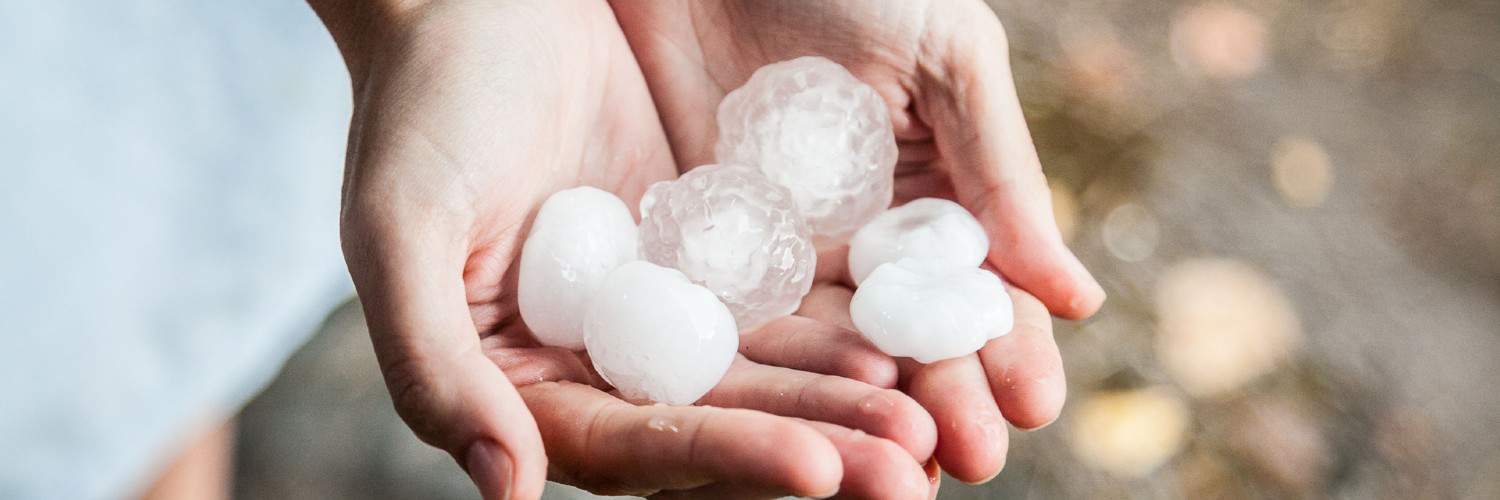 a person holding hail stones