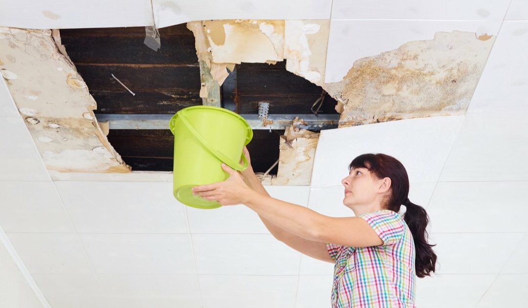 Steps to handle a leaky roof- Step 1 call a professional